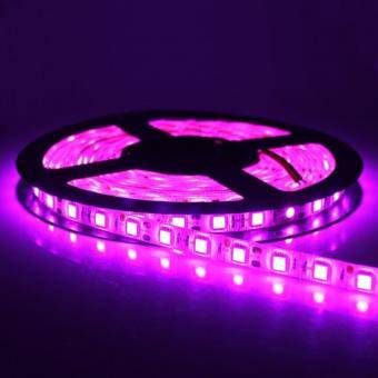 Banda LED 5050 Interior Magenta 12w