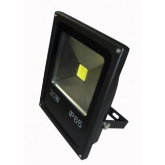 Proiector LED Slim Clasic 30W 220V