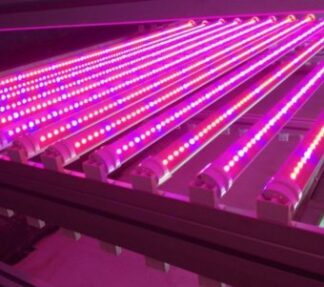 Tub LED T8 12w 120cm Cresterea Plantelor